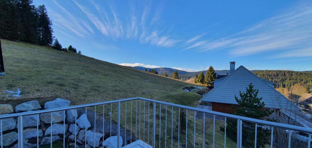 Appartement Adlernest à Feldberg  Extérieur photo